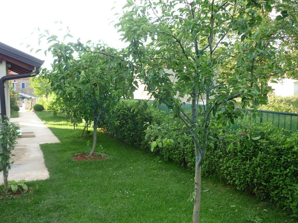 Apartmani Radin Rosini Exteriér fotografie
