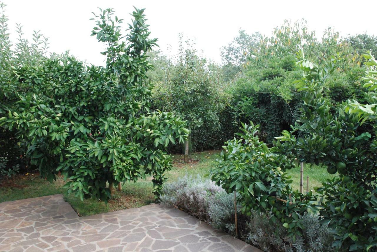 Apartmani Radin Rosini Exteriér fotografie