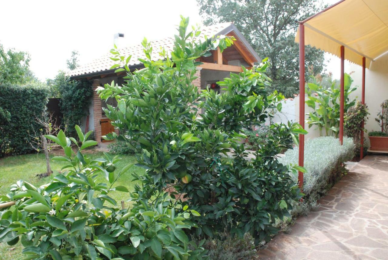 Apartmani Radin Rosini Exteriér fotografie